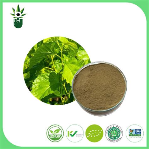 allnaturalplantextracts.com mulberry leaf extract factory